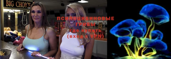 шишки Волоколамск