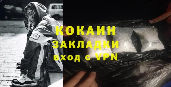 шишки Волоколамск