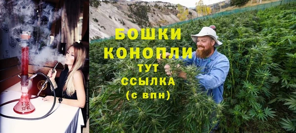 шишки Волоколамск
