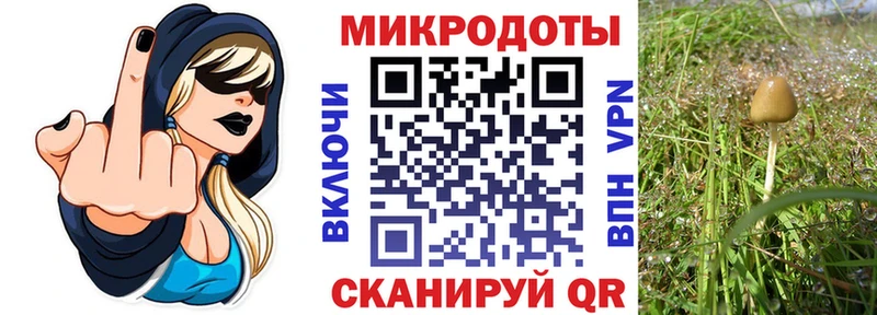 Галлюциногенные грибы GOLDEN TEACHER  Купить закладки  Краснокаменск 